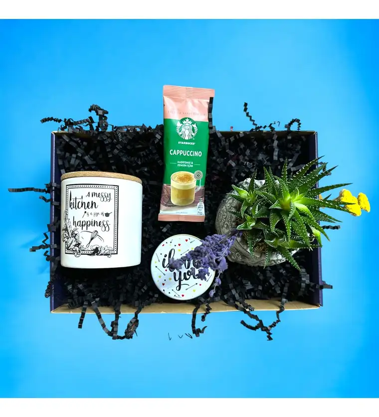 Howarthia Gift Box - Bursa çiçek siparişi